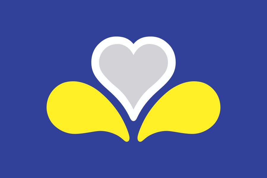 Fahne Region Brüssel